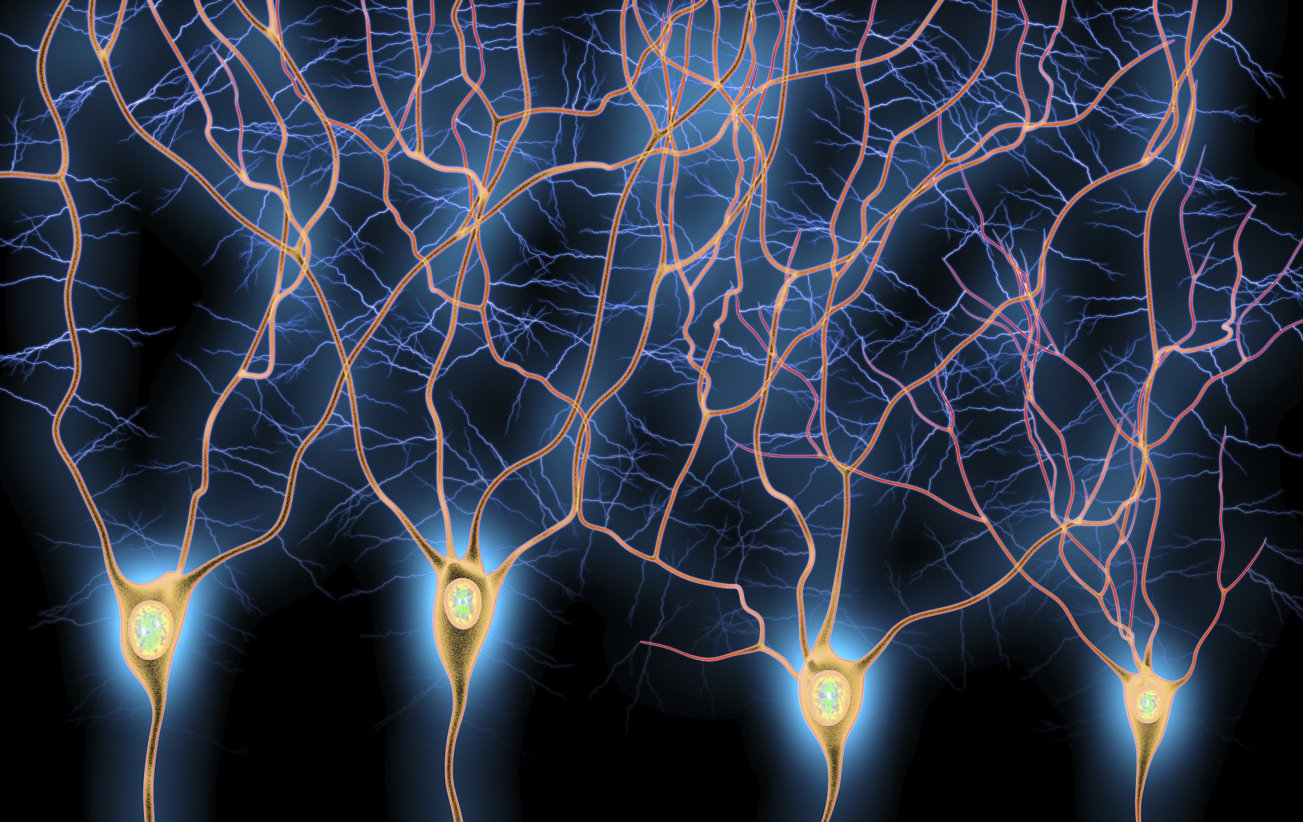 Computer illustration of dendrites, the branch-like projections extending from neurons in the brain.