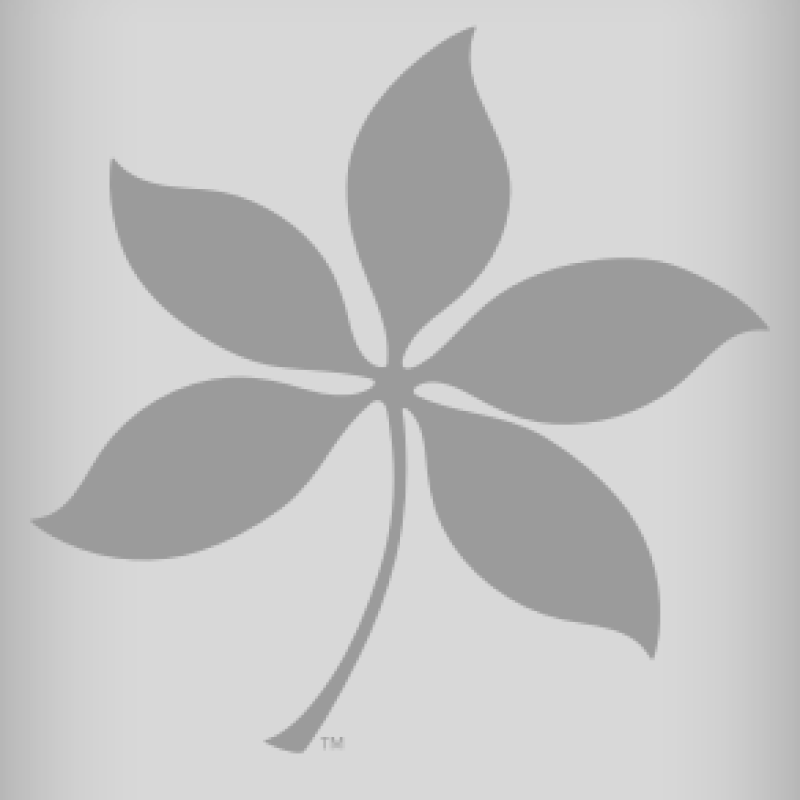 Dark gray buckeye leaf against light gray background
