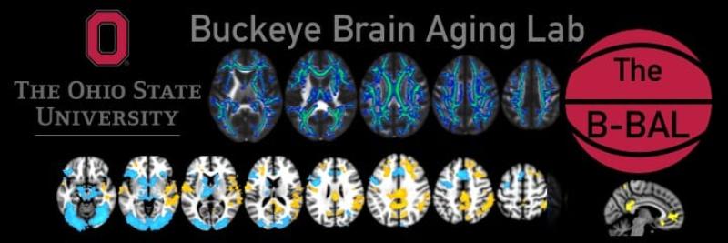 Buckeye Brain Aging Lab Buckeye Brain Aging Lab