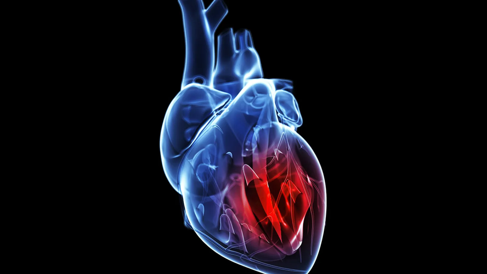 Human heart outlined in blue, with a glowing red spot in one chamber