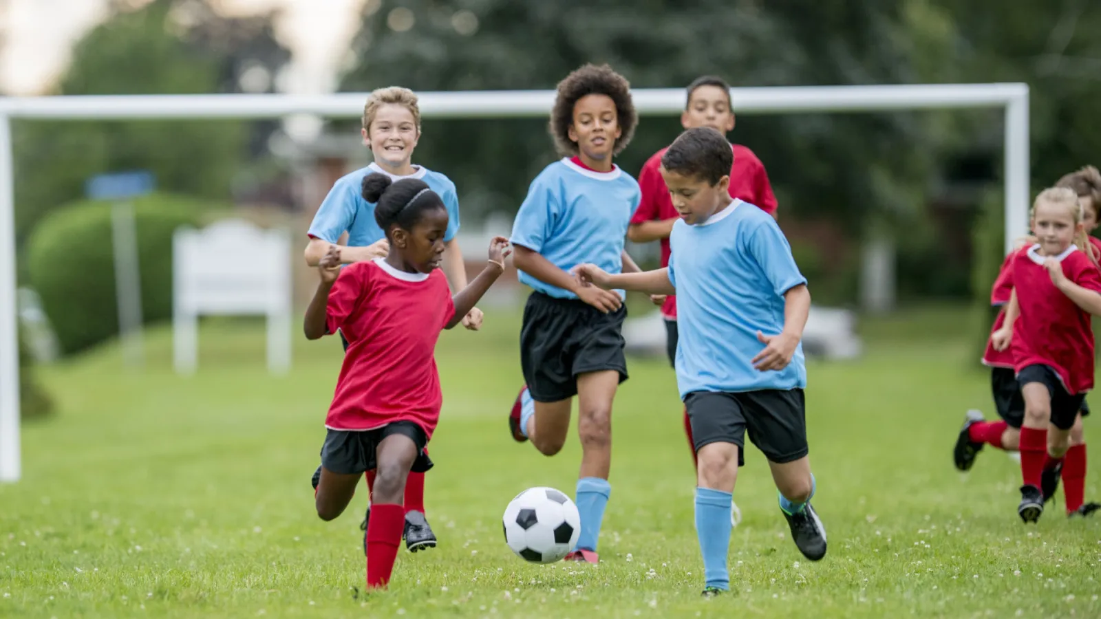 Kids' soccer teams wearing red and blue jerseys play a game on a green field.