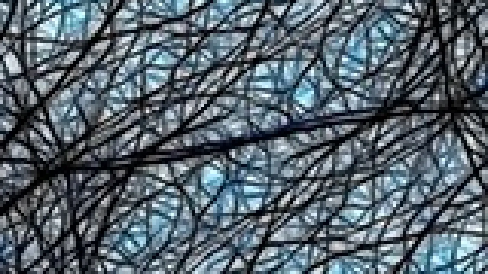 THIS IS YOUR BRAIN DETECTING PATTERNS