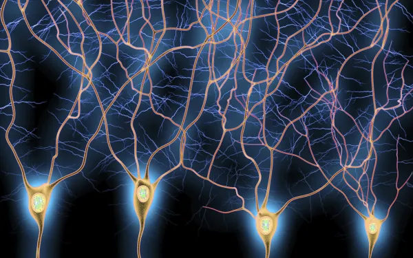 Four blue and yellow dendrites branching out across a dark background