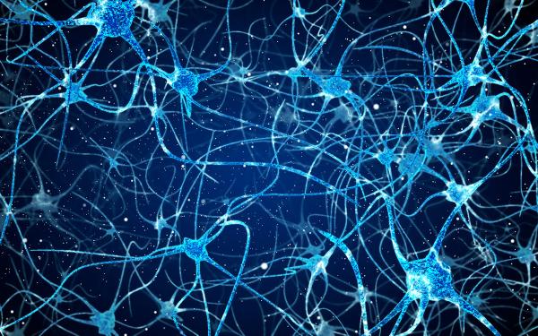 A web of blue interconnected neurons