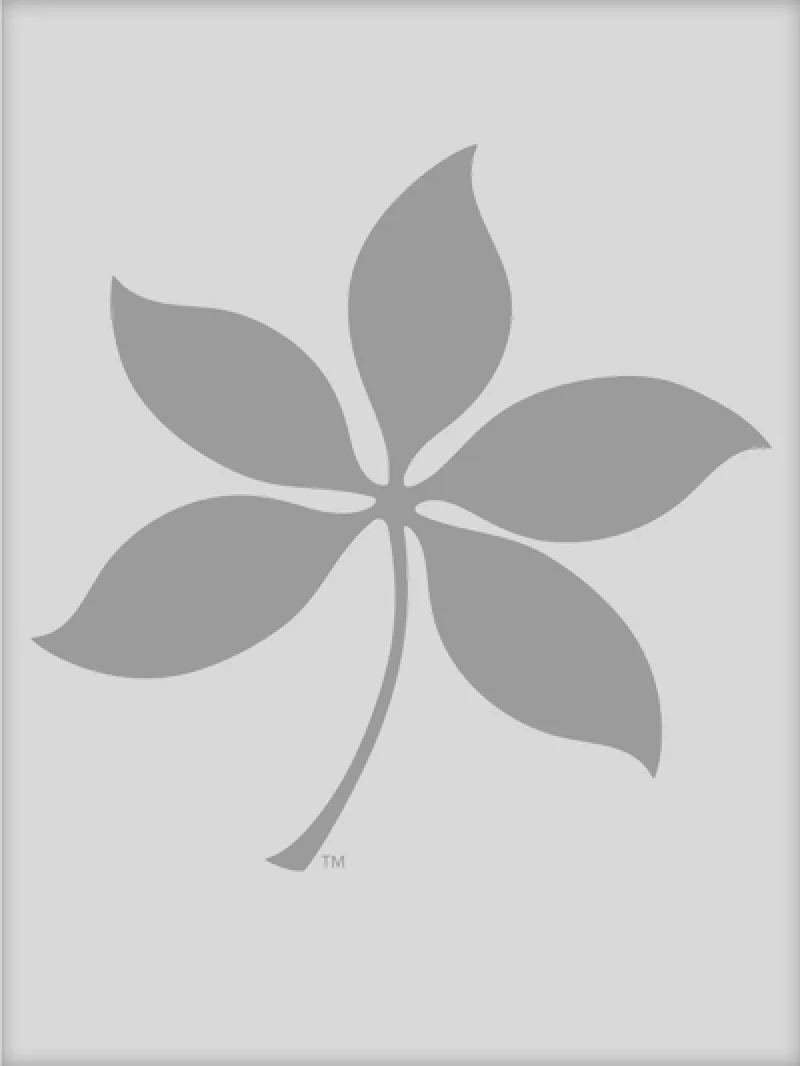 Dark gray shape of a buckeye leaf against a light gray background