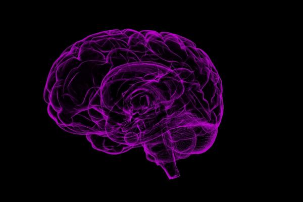 Neon Purple Brain Neon Purple Brain
