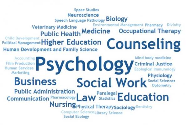 Graduate program fields