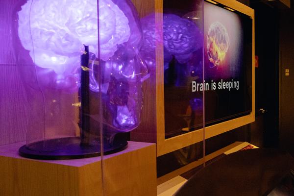 A translucent replica of a human head with a glowing purple brain inside, next to an LCD screen that reads "Brain is Sleeping."