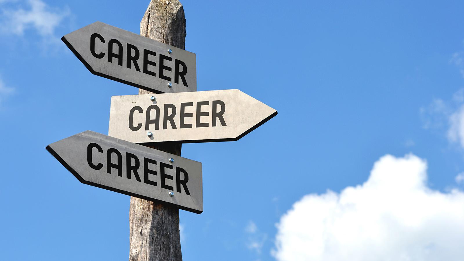 3 Career arrows