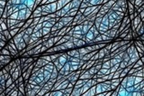 THIS IS YOUR BRAIN DETECTING PATTERNS THIS IS YOUR BRAIN DETECTING PATTERNS