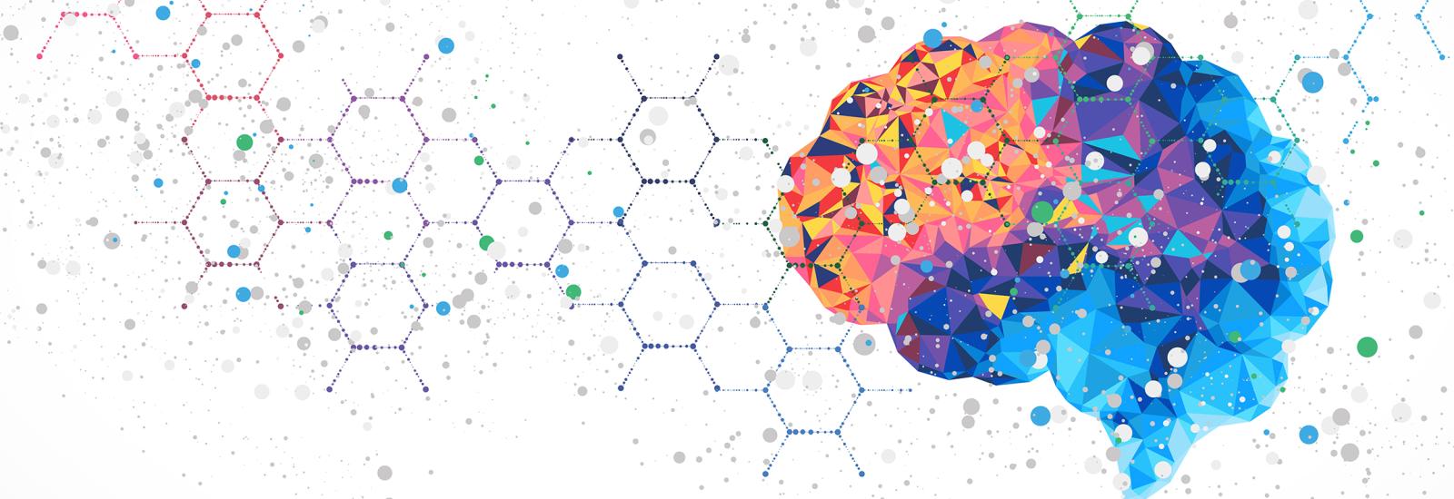 Multi-colored abstract human brain surrounded by molecular outlines